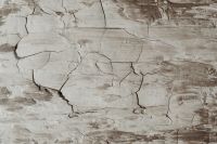 Kaboompics - Light Taupe Distressed Paint with Large Cracked Patches