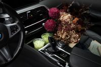 Kaboompics - Burgundy Autumn Bouquet With Matcha in a Car Interior