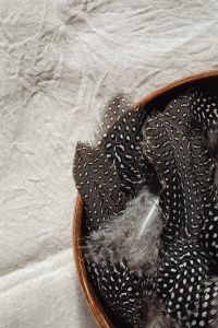 Kaboompics - Spotted Feather Still Life in a Wooden Bowl on Linen