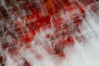 Kaboompics - Blurred Red Leaves White Background Abstract