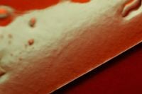 Kaboompics - Red Glass Surface With Water Droplets Abstract Background