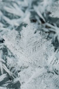 Snow, Frost and Winter Nature Textures