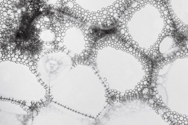 Horizontal Bubble Structure Pattern Minimal Background. Ideal for ...