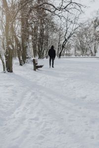 Kaboompics - Person Walking Past a Bench on a Snow-Covered Park Path