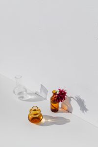 Kaboompics - Minimal Glass Vase Arrangement with an Amber Vessel and Cut Flower Stem