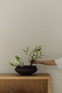 Kaboompics - Woman placing white flowers in black ceramic bowl