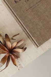 Kaboompics - Dried Protea Beside a Textured Design Book on a Travertine Surface