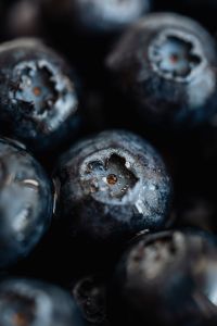 Kaboompics - Blueberries Backgrounds