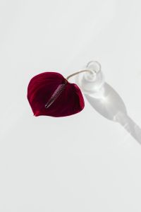 Kaboompics - Close-Up of a Burgundy Anthurium and Clear Glass Vase in Minimal Floral Photography