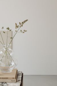 Kaboompics - Glass Bubble Vase with Dried Stems against a Neutral Interior Background