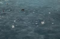 Kaboompics - Broken Lake Ice with Dock Posts at Dusk