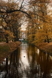 Kaboompics - Autumn Park Landscape With Golden Trees And River Reflections