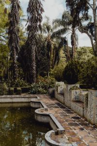 Kaboompics - Palm-Framed Garden Pool and Tiled Courtyard Walkway