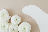 Kaboompics - White Ranunculus in the Lower Corner of a Beige Background with Copy Space