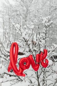 Kaboompics - Red LOVE Balloon in Snow Covered Winter Trees