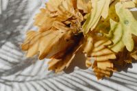 Kaboompics - Bunch of Dried Maple Leaves in Sunlight