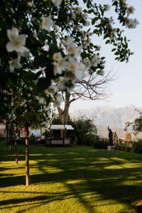 Kaboompics - White Blossoms Framing a Garden Statue and Amalfi Mountain View