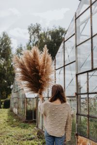 Kaboompics - Woman Raising Pampas Grass beside a Greenhouse