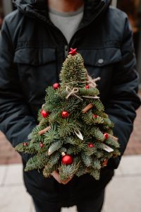 Kaboompics - Close-Up of Man Holding a Decorated Christmas Tree
