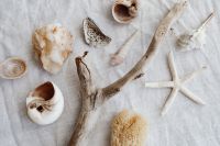 Kaboompics - Natural Coastal Props on Linen: Driftwood, Starfish, Seashells and Sea Sponge