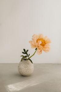 Kaboompics - Single Peach Flower in Speckled Vase with Neutral Copy Space
