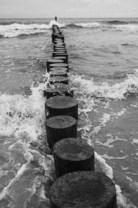 Kaboompics - Black and White Waves Around Wooden Sea Groynes