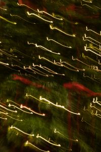 Kaboompics - Blurred Evergreen Christmas Tree Branches with Red Ribbon Decor