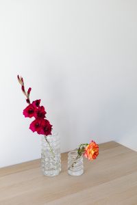Kaboompics - Colorful Flower Vases Styled on a Minimal Wooden Table