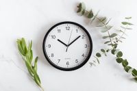 Kaboompics - Clock & Twig on White Background