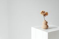 Kaboompics - Single Pale Dried Rose in a Tan Bulb Vase with Copy Space