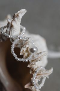 Kaboompics - Layered Pearl Bead Jewelry Wrapped Around Sculptural Seashells in Soft Gray Light