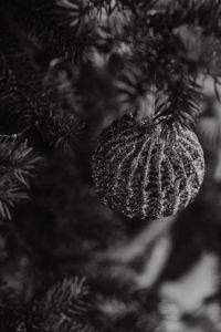 Kaboompics - Monochrome Christmas Ornament on Evergreen Branch, Black and White Holiday Background