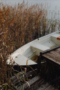 Kaboompics - Small White Rowboat Beside Reeds and a Wooden Dock