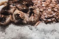 Kaboompics - Close-Up of Squid on Crushed Ice at a Barcelona Market