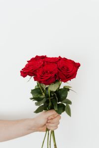 Kaboompics - Red Rose Bouquet with White Negative Space