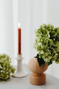 Kaboompics - Green Hydrangea beside a Candle on Marble