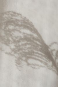 Kaboompics - Soft Pampas Grass Shadow on Warm Beige Linen