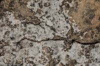 Kaboompics - Crusty White Mineral Layer on a Brown Stone Background