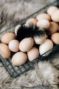 Kaboompics - Wire mesh basket with fresh farm eggs