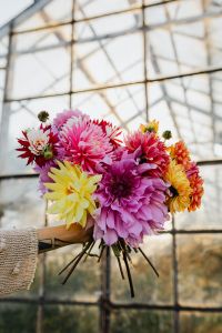 Kaboompics - Colorful Dahlia Bouquet In A Glass Greenhouse