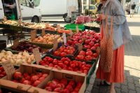 Kaboompics - Woman Browsing a Fresh Produce Market