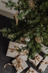 Kaboompics - Wrapped Gifts Beneath a Decorated Christmas Tree
