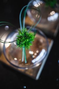 Kaboompics - Little grass bundle with a ribbon in a glass jar