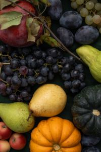 Kaboompics - Overhead Autumn Harvest With Pumpkins Grapes Pears and Seasonal Fruit
