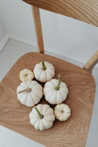 Kaboompics - White Mini Pumpkins on a Wooden Chair Viewed from Above