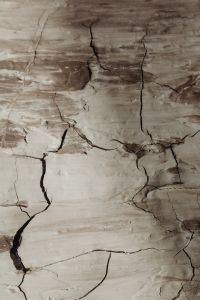 Kaboompics - Abstract Beige and White Paint with Cracked Raised Ridges