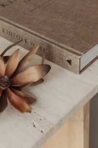 Kaboompics - Dried Protea Petals Beside a Neutral Design Book, Macro Detail