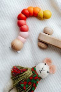 Kaboompics - Wooden Toy Train, Bead Caterpillar and Fabric Mouse Flat Lay