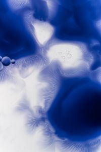 Kaboompics - Vertical Blue Liquid With High Contrast Forms