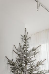 Kaboompics - Upper Silver Christmas Tree Branches with Tinsel in a Bright Interior